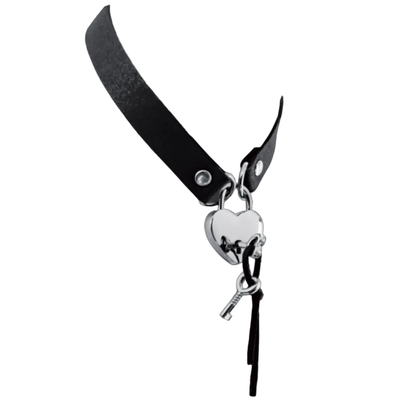 Bijoux Pour Toi Collier Choker Cadenas Cœur – collier BDSM réglable