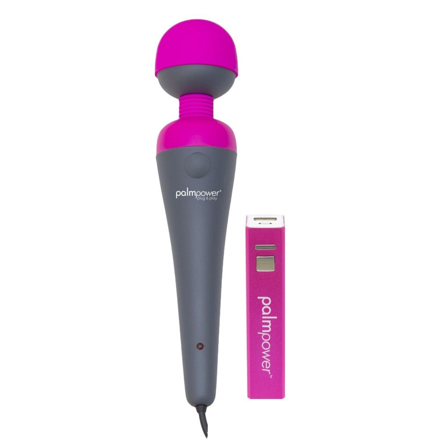 PalmPower Plug & Play - Wand