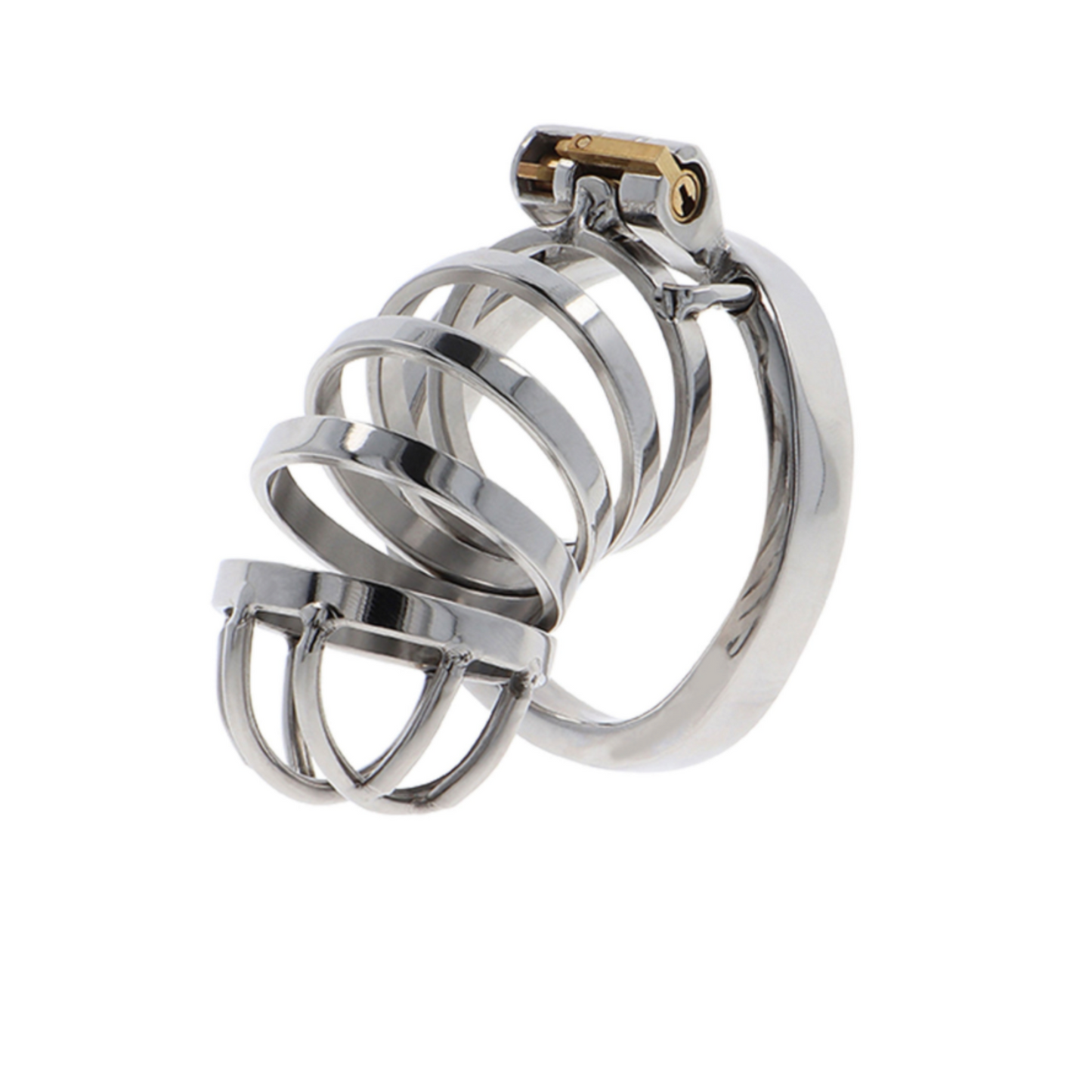 Hidden Desire Chastity Cock Cage - Cage de chasteté en métal