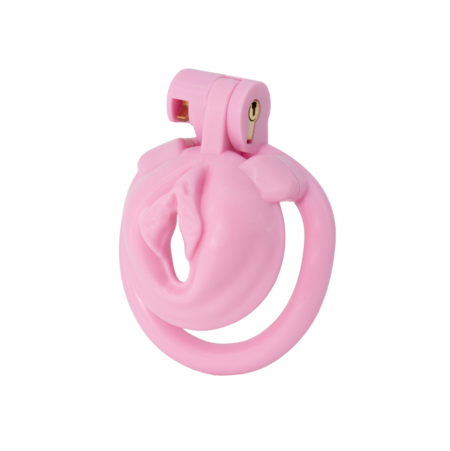 Hidden Desire Sissy Trainer - Cage de chasteté plate effet sissy
