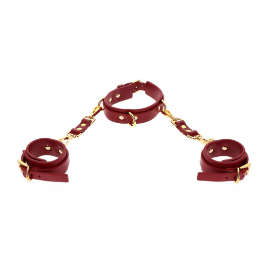 Taboom Kit Collier BDSM D-Ring et Menottes