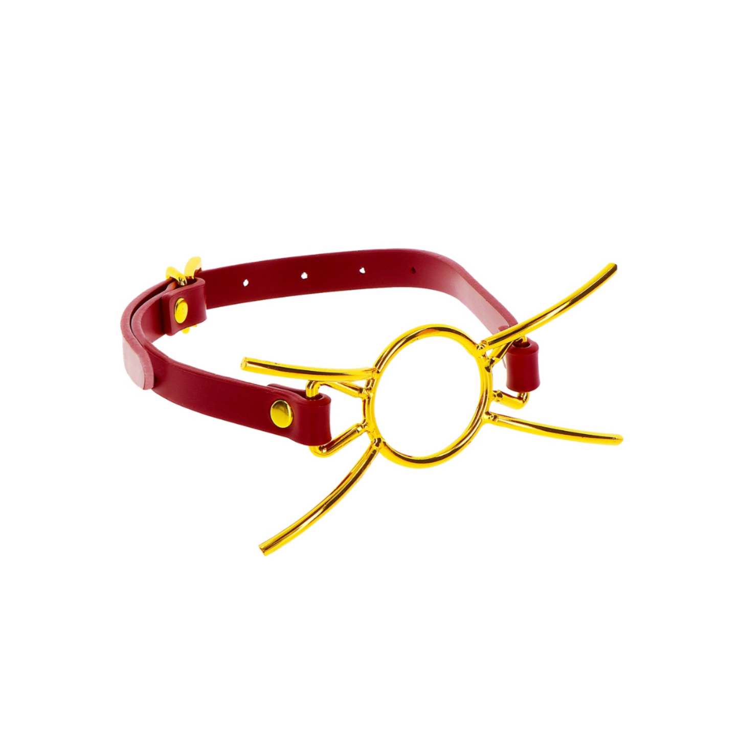 Taboom Spider Gag - Écarteur Buccal