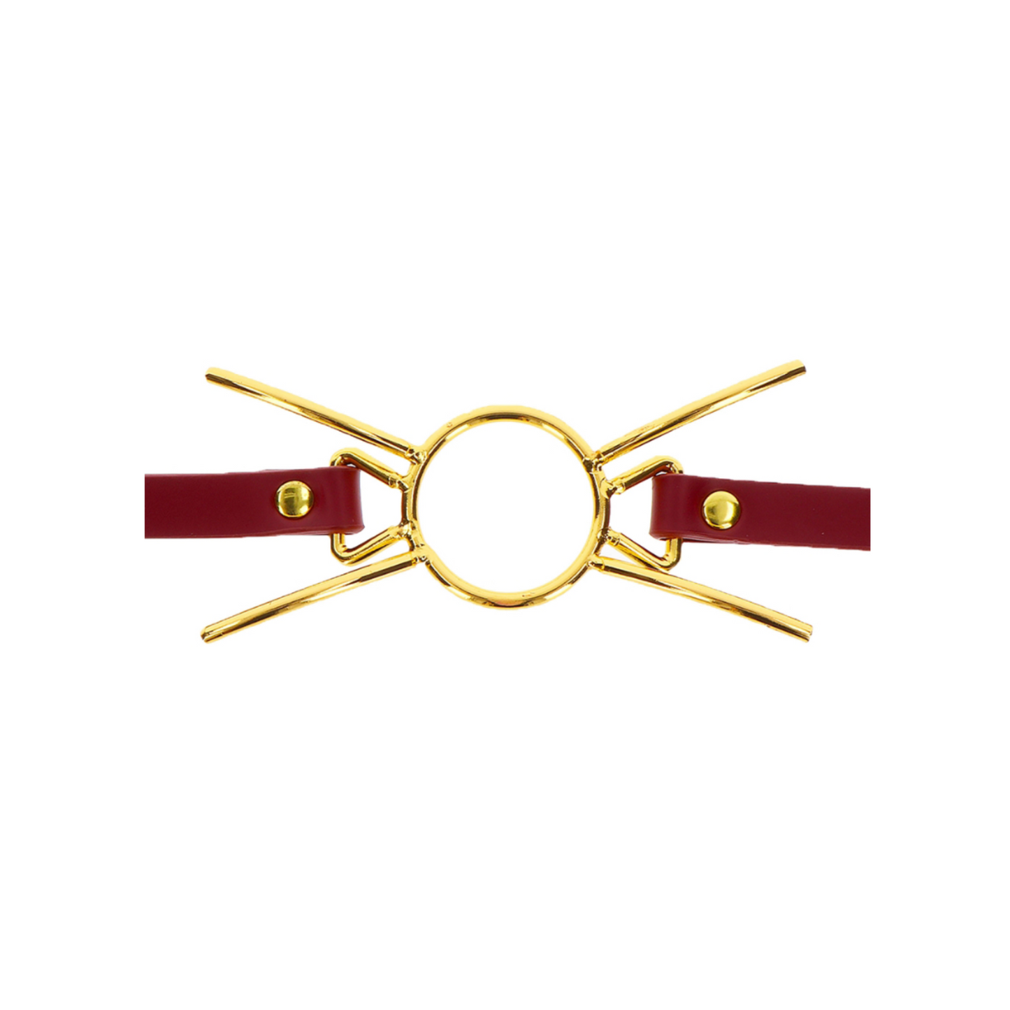 Taboom Spider Gag - Écarteur Buccal