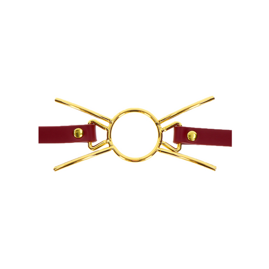 Taboom Spider Gag - Écarteur Buccal
