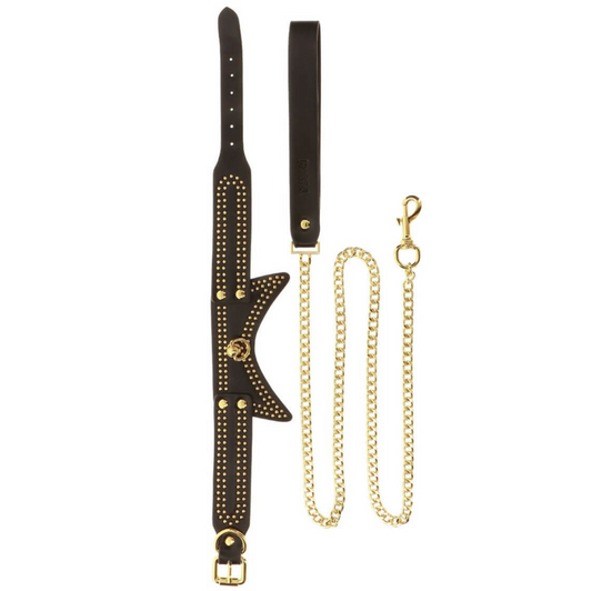 Taboom Studded Collar and Leash Vogue – Collier et laisse à rivets dorés