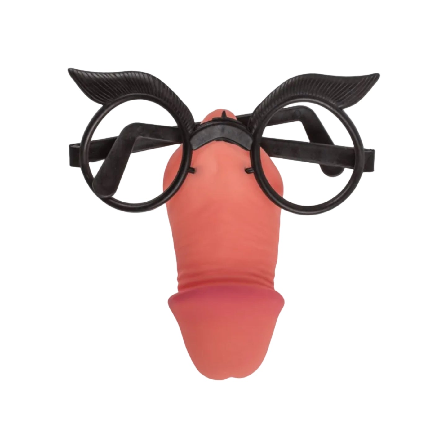 Willy Glasses - Lunettes humoristiques