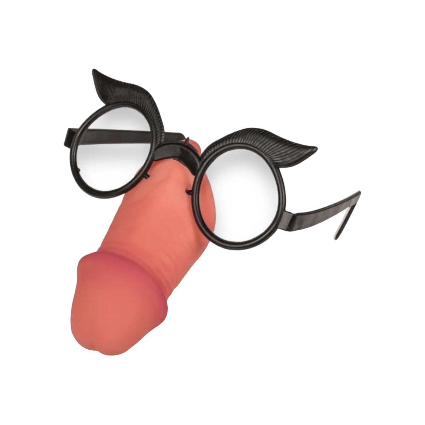 Willy Glasses - Lunettes humoristiques