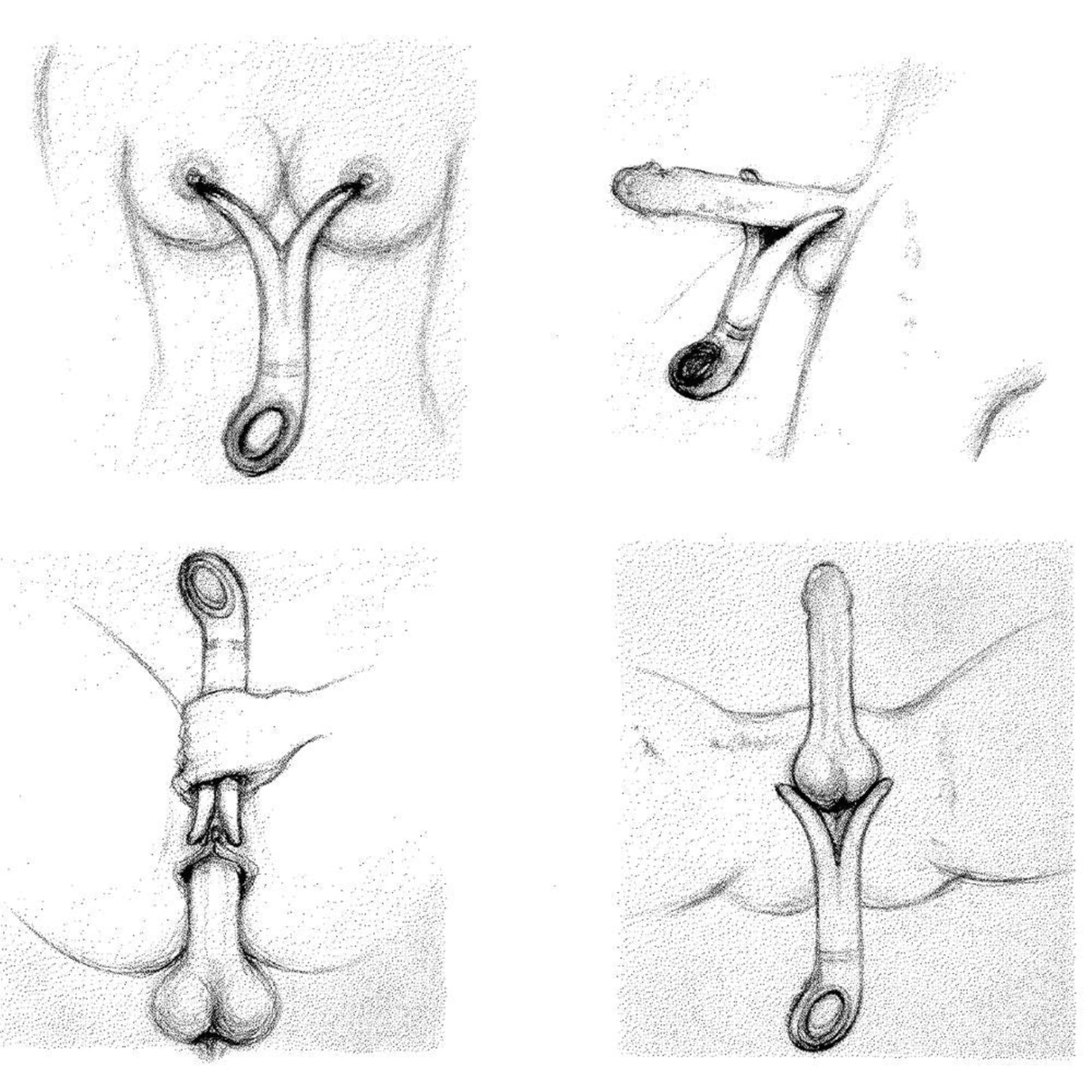 Gvibe Gvibe3 - Vibromasseur BioSkin